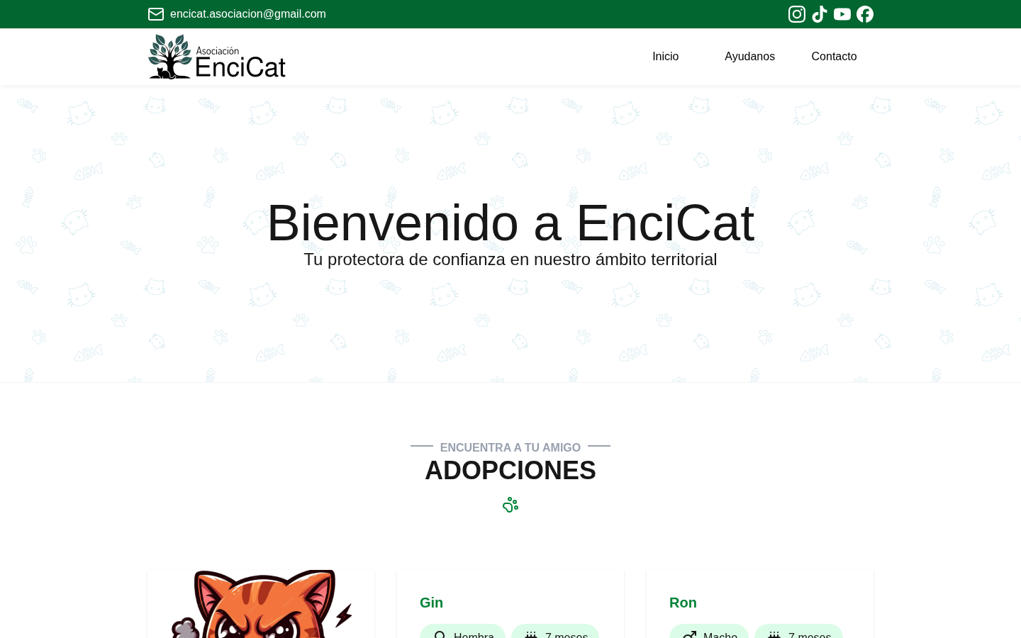 EnciCat (1 of 2)